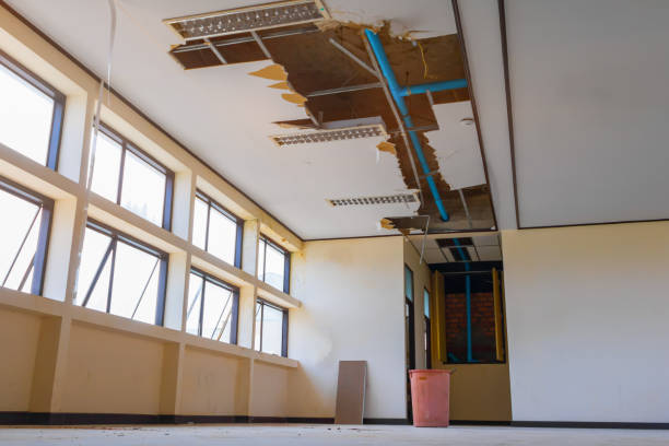 Best Flooded house restoration  in Easley, SC