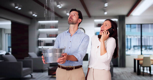Trusted Easley, SC Water damage restoration Experts